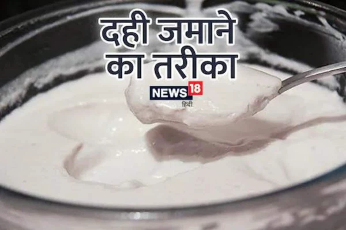 Pro Tips To Make Thick, Tasty Curd At Home