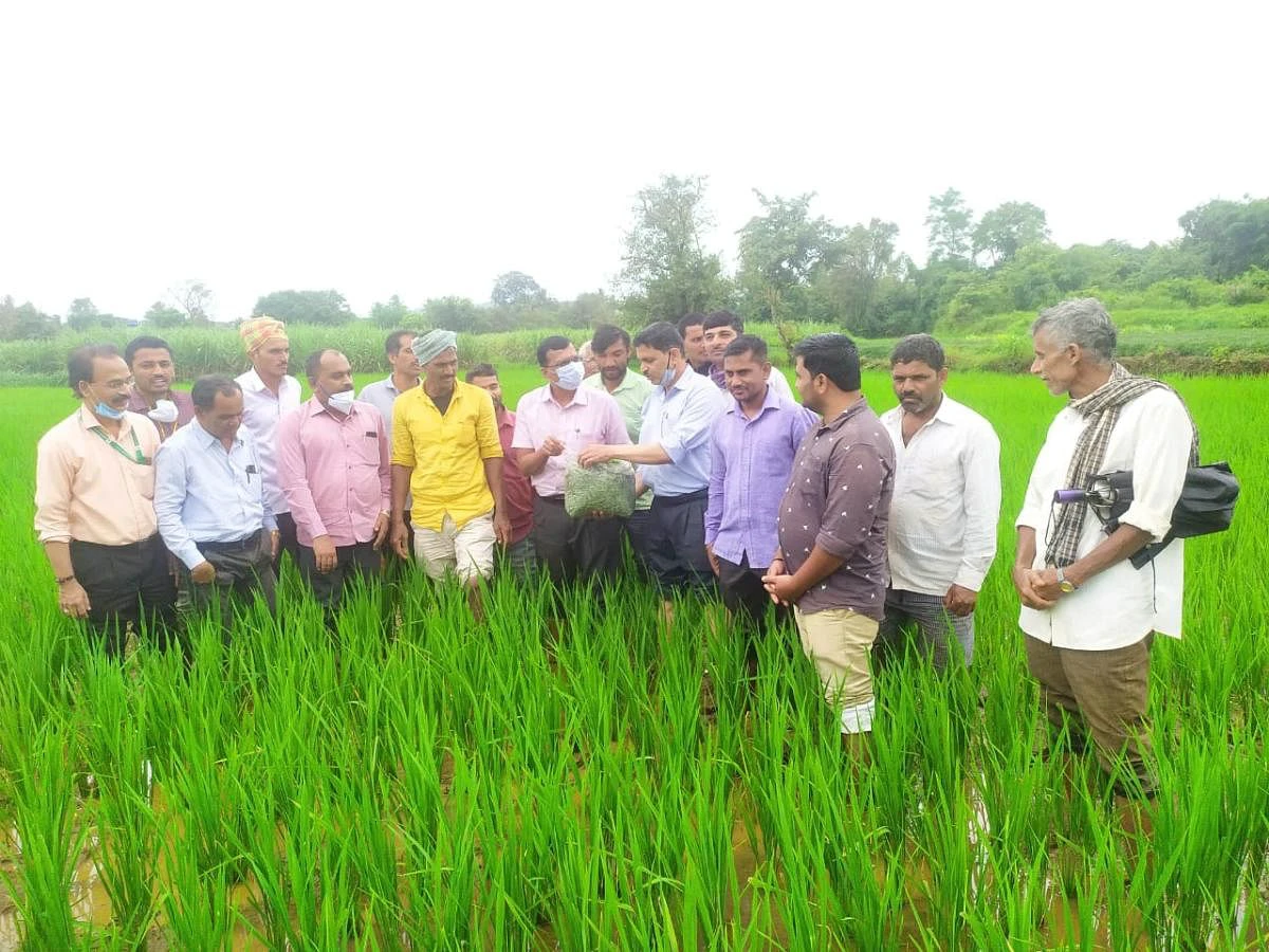 ಬೆಳಗಾವಿ | ಸಿಬ್ಬಂದಿ ಕೊರತೆಗೆ ನಲುಗಿದ ಕೃಷಿ ಇಲಾಖೆ