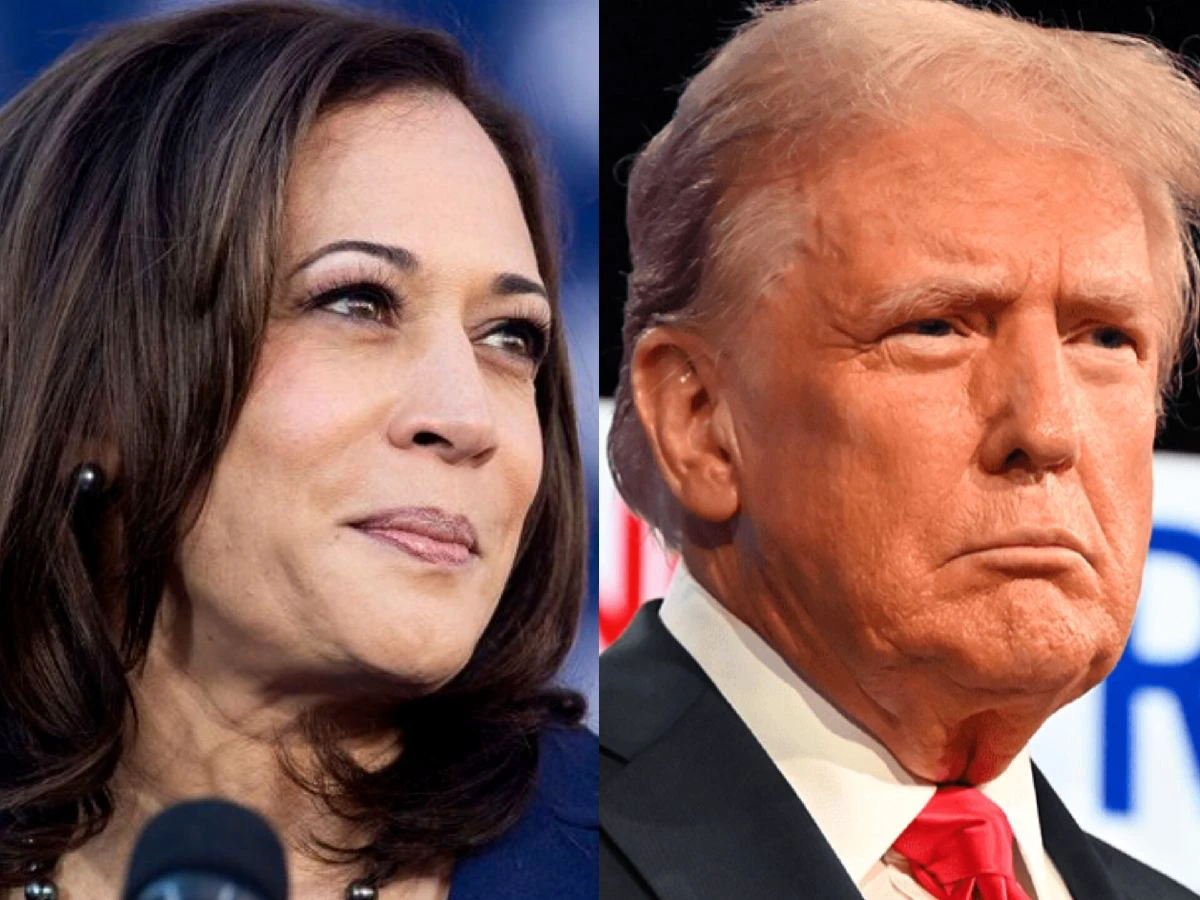 Kamala Vs Trump: Who Do Telugu Voters Prefer?