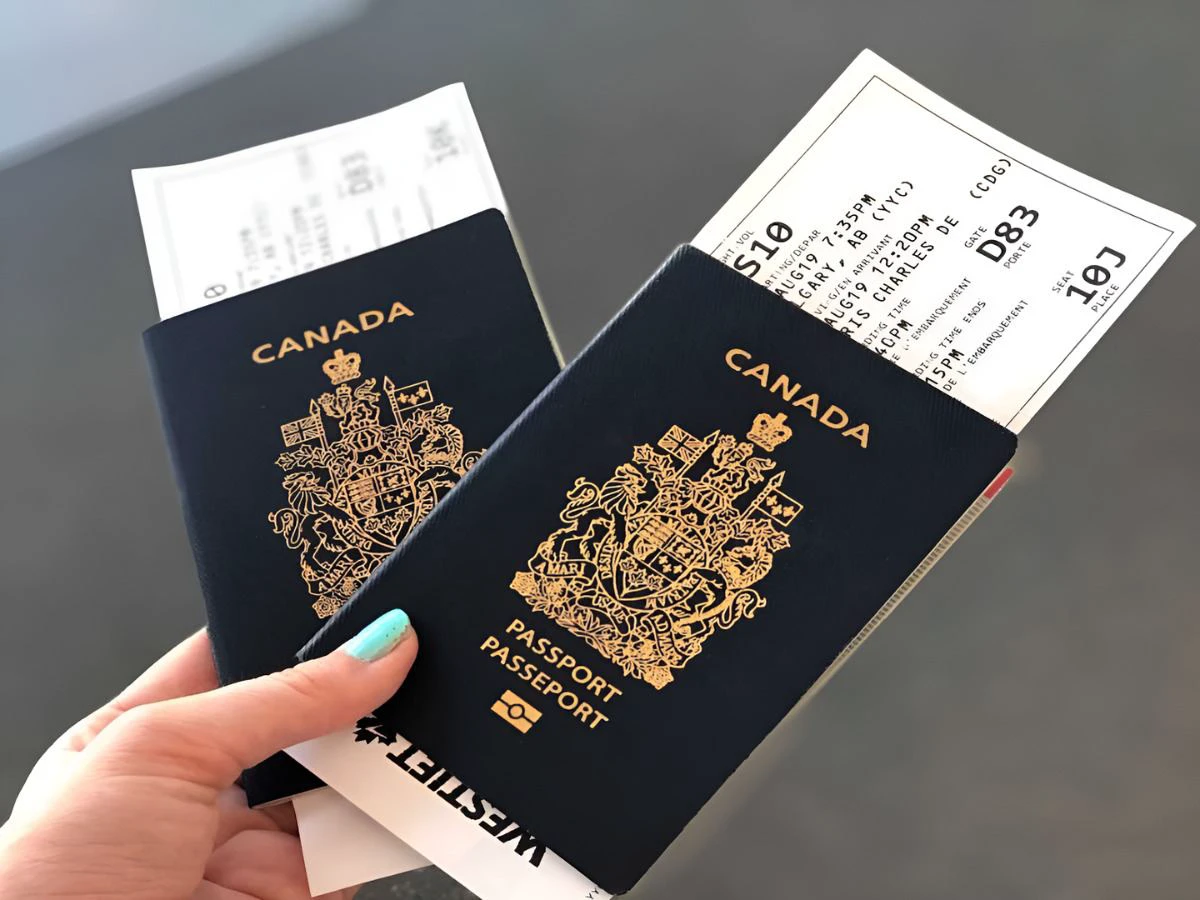 Billion-Dollar Loss: Indian Students Immigration