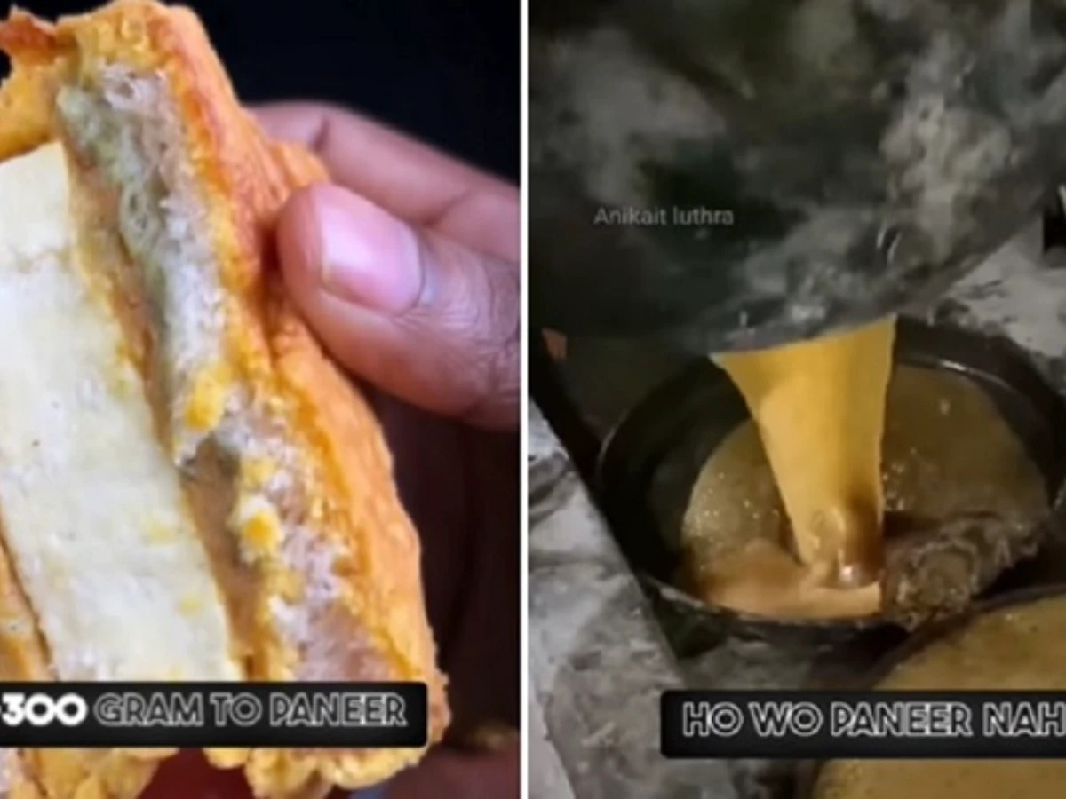 Video Shows How 'Fake' Paneer Made Of Palm Oil & Lime Ends Up In Street Food, High-end Restaurants