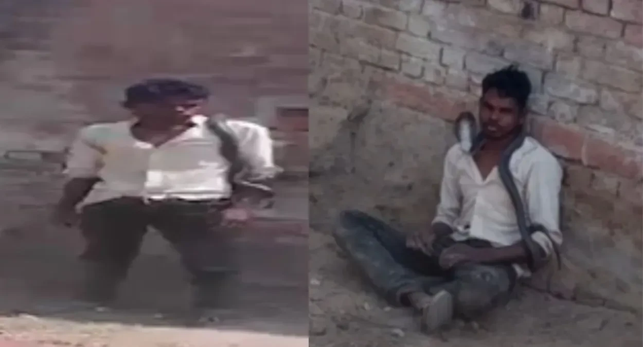 सांप को गले में लटकाकर मस्ती कर रहा था युवक, काटने से मौत हुई तो परिवार जिंदा करने की जिद पर अड़ा