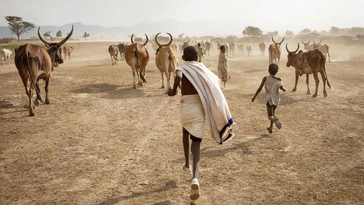 The world's oldest tribe and HIV