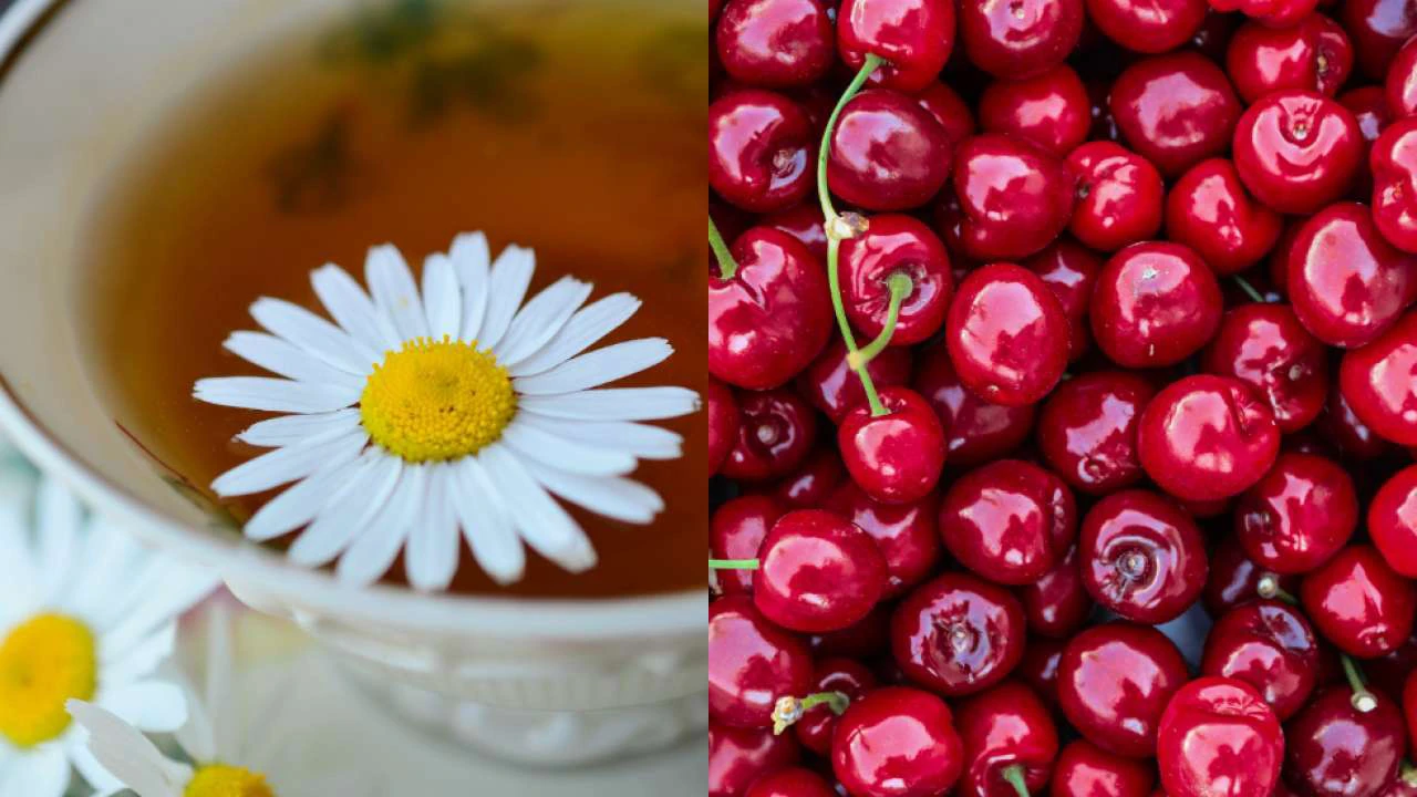 From Cherry juice to Camomile tea: Effective bedtime drinks for sound sleep