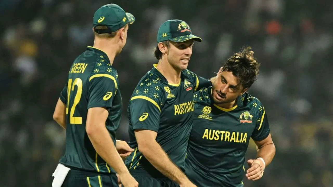 বিশ্বকাপ থেকে বিদায়: অজি ক্রিকেটারদের পারফরম্যান্সের ‘ফরেনসিক পর্যালোচনা’ করবে বোর্ড