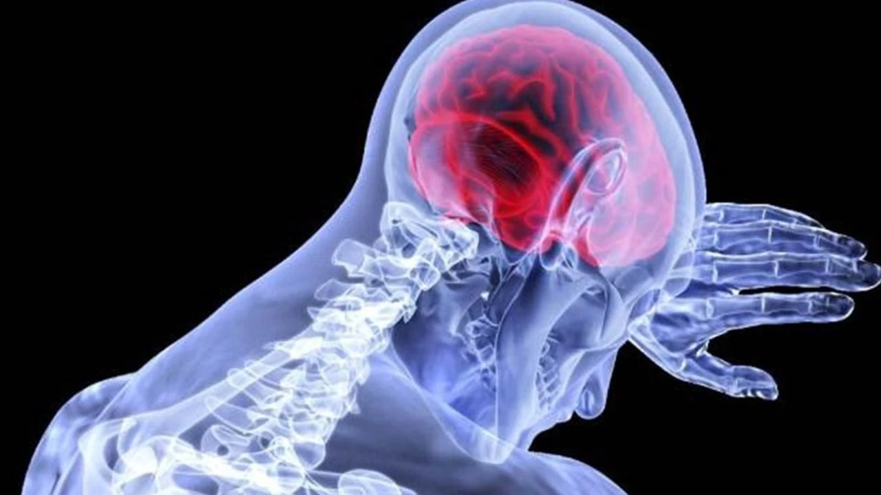 যুবাদের মধ্যে বাড়ছে স্ট্রোকের ঝুঁকি: জীবনযাত্রায় বদল ও সতর্কতাই এখন বাঁচার পথ