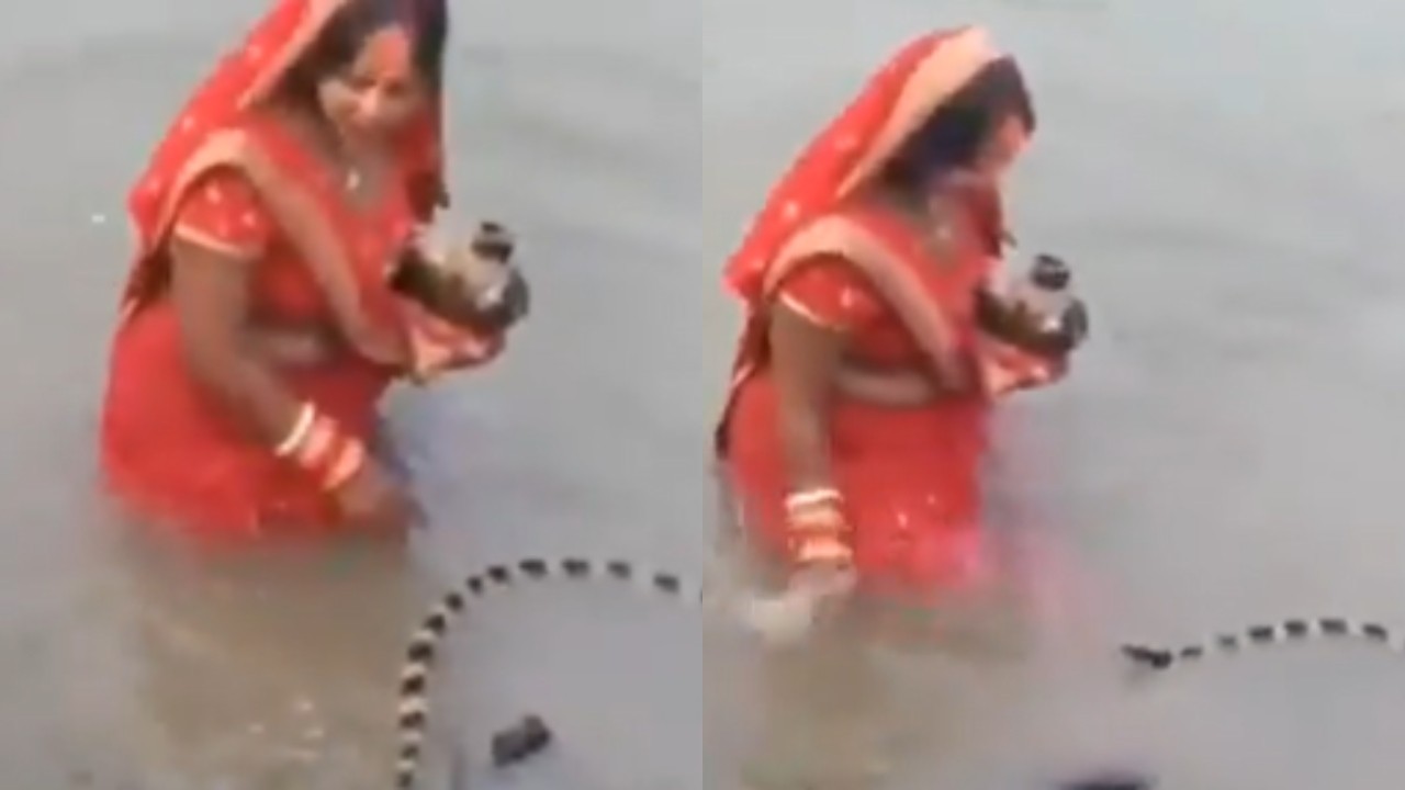 VIDEO: छठ पूजा के दौरान पानी में तैरते हुए आया सांप, महिला ने फिर जो किया उसे देख हर कोई हो गया हैरान