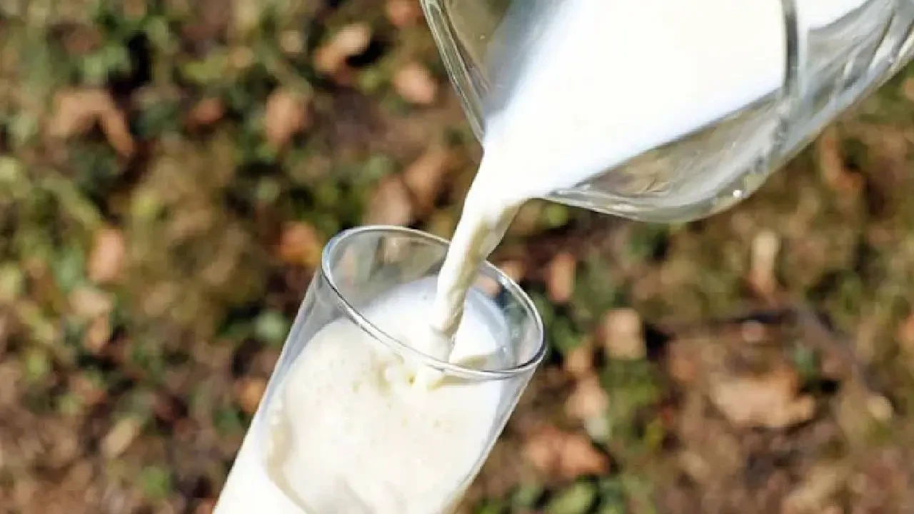 দুধ না পেয়ে কৃষকের আঙুল কামড়ে চিবিয়ে নিলেন মহিলা