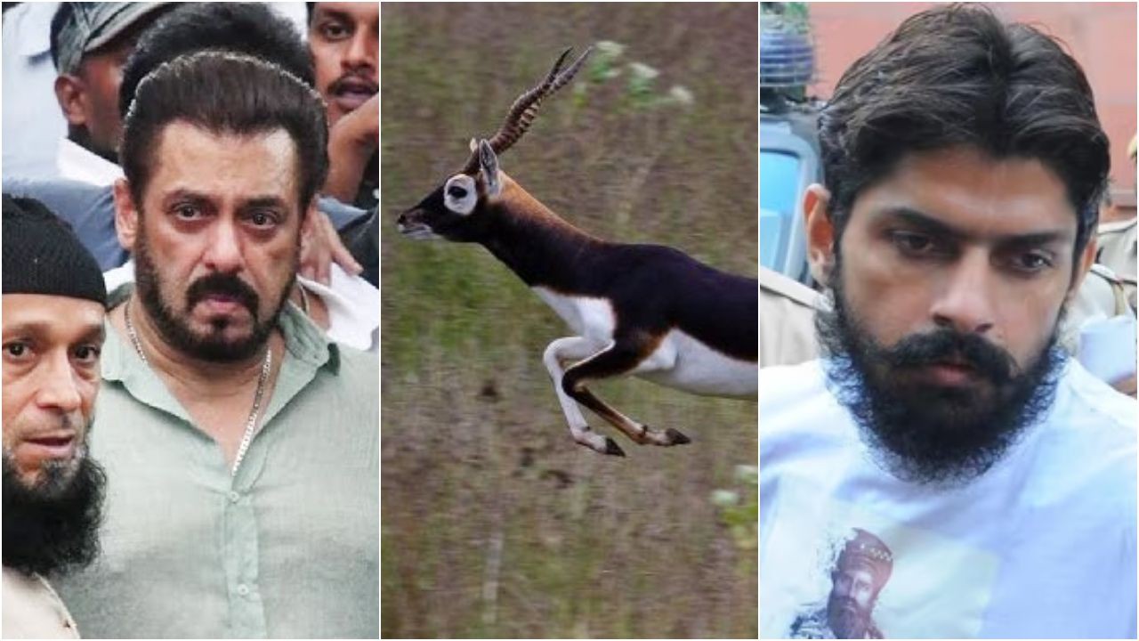 Salman को माफ कर देंगे अगर…बिश्नोई समाज ने अब रख दी ये डिमांड, हिल जाएगा पूरा बॉलीवुड…