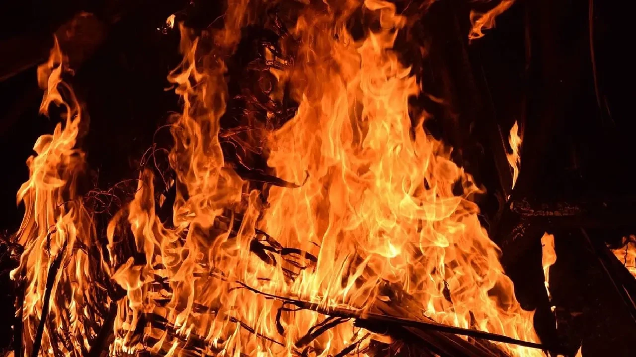 ডাইনি সন্দেহে মা ও শিশুকে জ্যান্ত পুড়িয়ে মারল উন্মত্ত জনতা