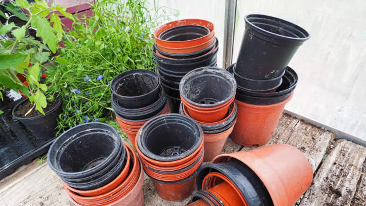 ফেলে দেওয়া প্লাস্টিকের টব থেকেই সাজবে আপনার ঘর