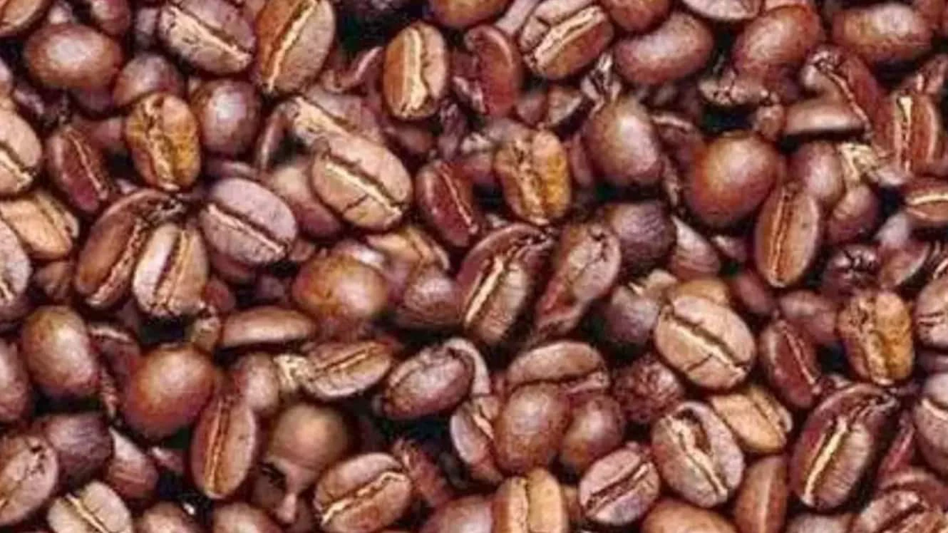 Viral Optical Illusion: Can You Find a Man's Face Hidden in The Coffee Beans | Know What It Says About Your Brain