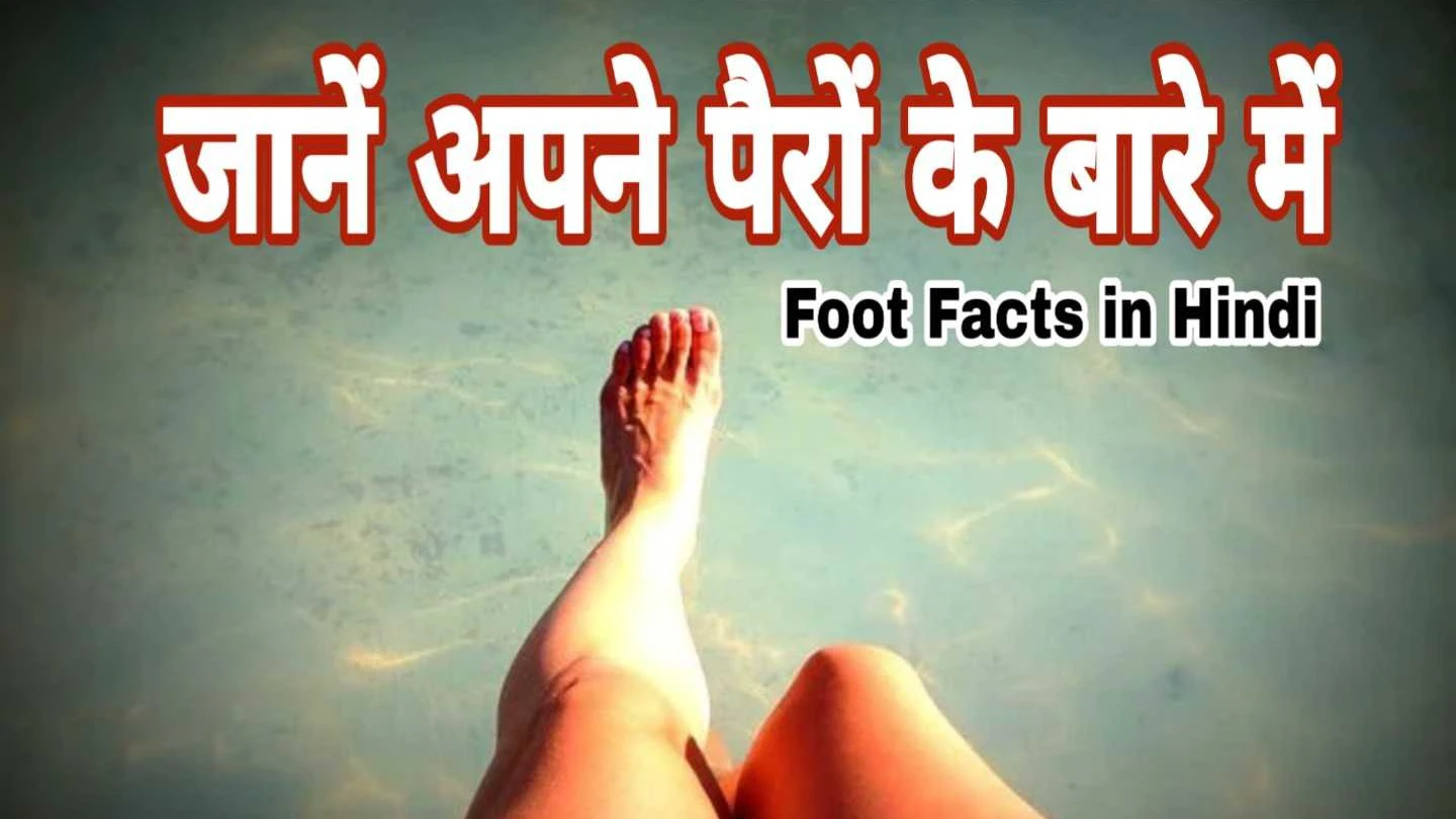 पैर के बारे मे मजेदार तथ्य | Facts Of Foot