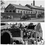 باندرہ کا تاریخی مذبح: ممبئی کی گمشدہ تہذیب، قصاب برادری کی ہجرت اور دیونارسلاٹرہاوس تک کا سفر:ایک تحقیقی و تاریخی جائزہ