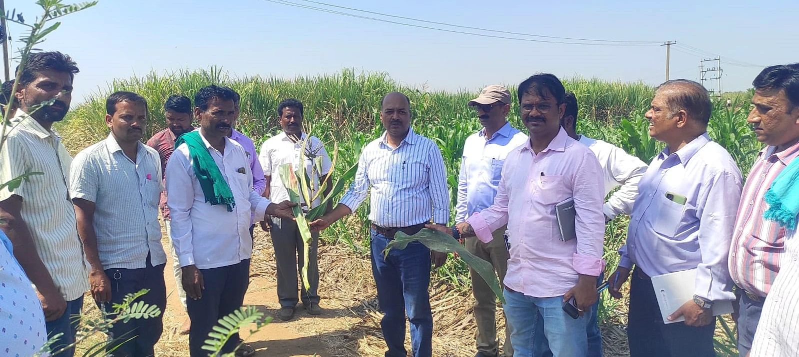 ಕಾರ್ಖಾನೆಯಿಂದ ಬೆಳೆ ನಷ್ಟ: ಅಧಿಕಾರಿಗಳ ಪರಿಶೀಲನೆ
