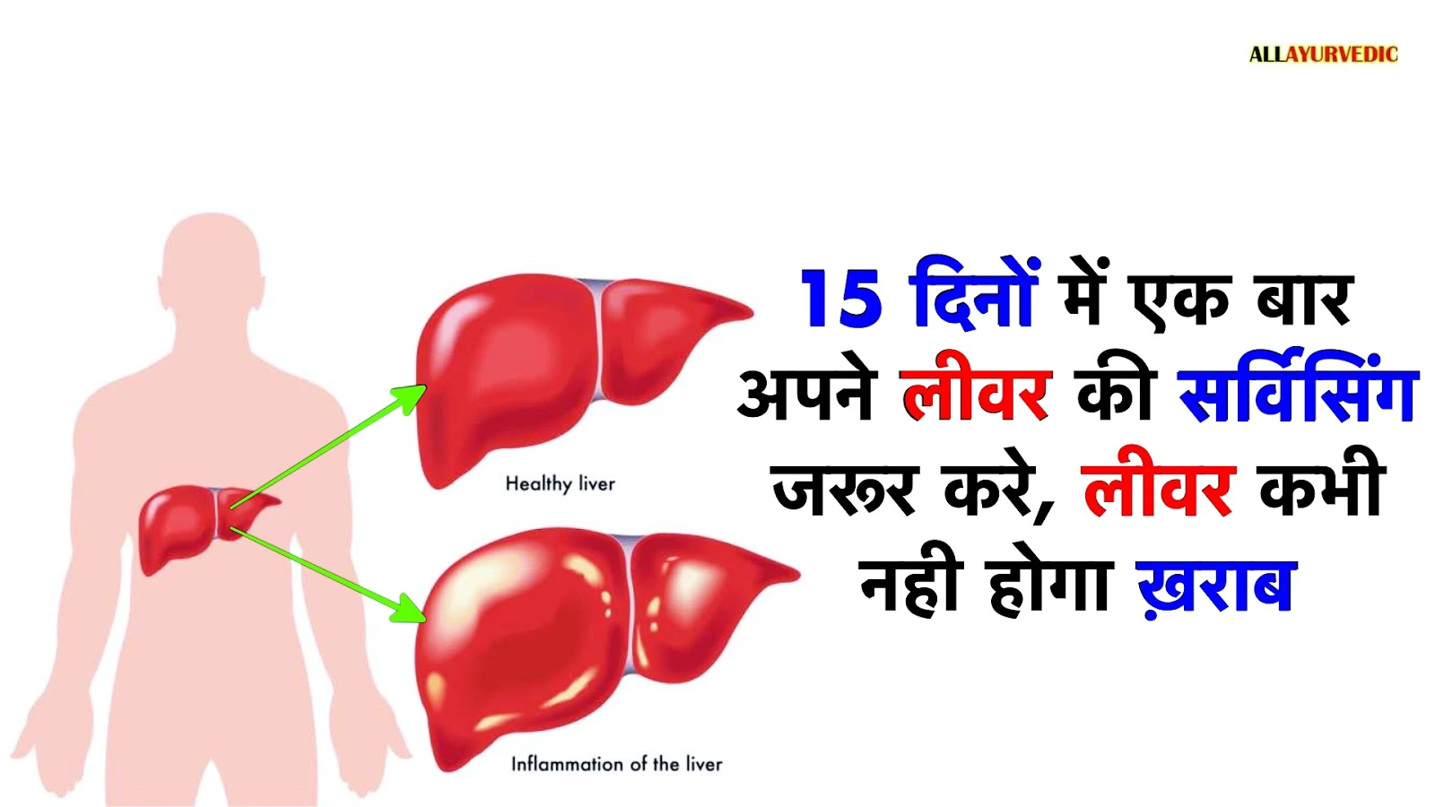 15 दिनों में अपने लीवर को एक बार जरूर साफ करना चाहिए, जानिए लीवर साफ करने का सही तरीका…!