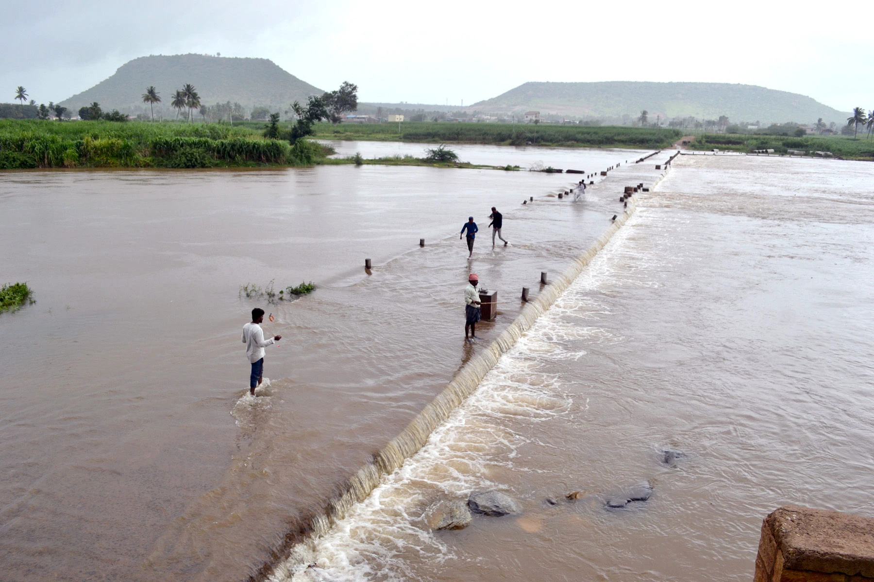 ನಿರಂತರ ಮಳೆ: ಗೋಕಾಕ- ಶಿಂಗಳಾಪುರ ಸೇತುವೆ ಮುಳುಗಡೆ
