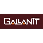 Volumes spurt at Gallantt Ispat Ltd. counter