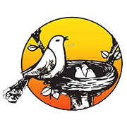 Kolte-Patil Developers surges after recording 18% sequential growth in Q4 sales value