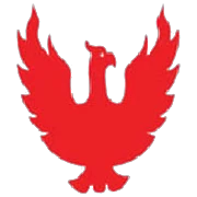 The Phoenix Mills ends higher after retail comsuption jumps 31% YoY  in Q4