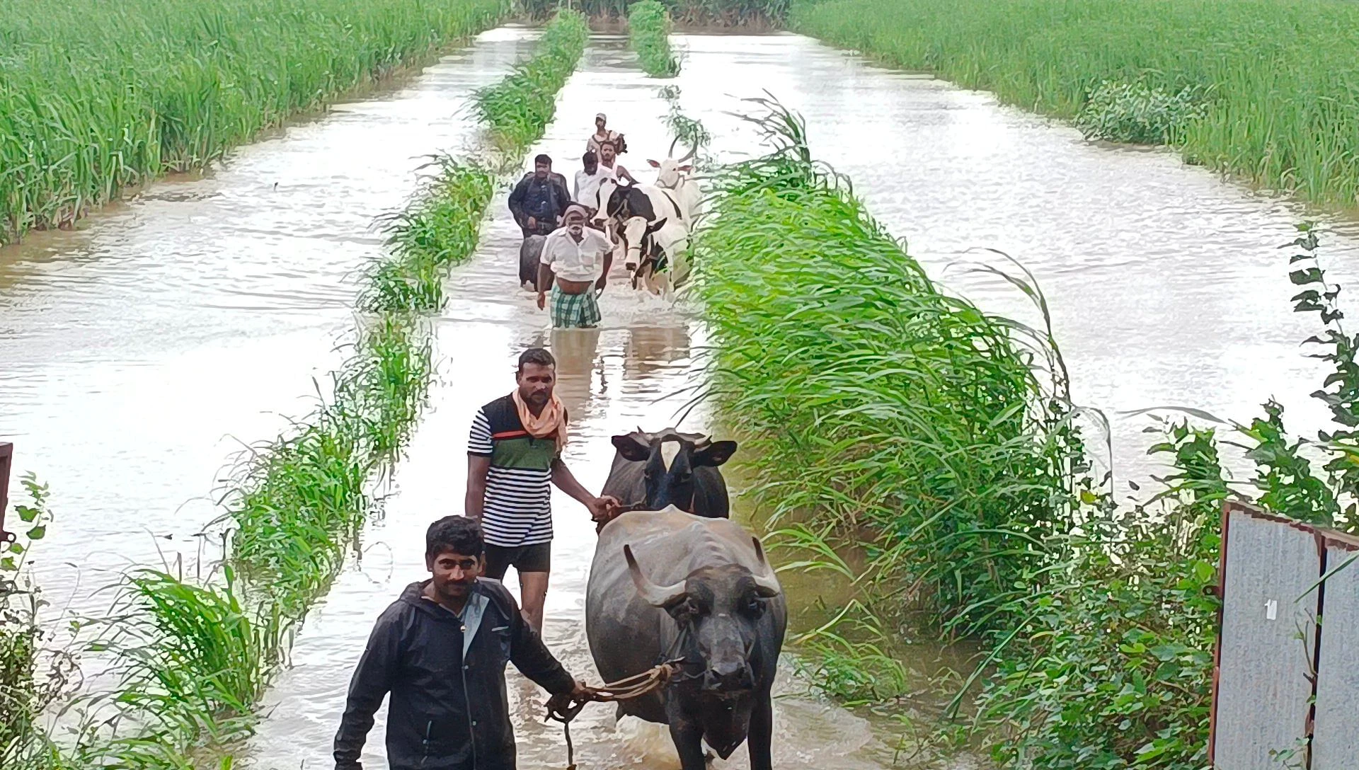 ಕಾಗವಾಡ | ಪ್ರವಾಹ: ಐದು ಪ್ರಮುಖ ರಸ್ತೆಗಳು ಮುಳುಗಡೆ