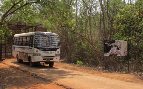 📰ହେଡଲାଇନ୍ସ🆕 - ShareChat