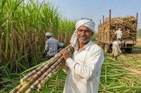 ଆଖୁର ଉଚିତ୍‌ ଓ ଲାଭକାରୀ ମୂଲ୍ୟକୁ କ୍ୟାବିନେଟ୍‌ ମଞ୍ଜୁରୀ : ୨୦୨୬-୨୭ ଋତୁ ପାଇଁ ଆଖୁ ଚାଷୀଙ୍କ ଠାରୁ କ୍ୱିଣ୍ଟାଲ୍‌ ପିଛା ୩୬୫ ଟଙ୍କାରେ କିଣାଯିବ ଆଖୁ