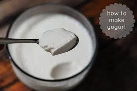 Foods to Avoid With Curd : We often use curd to make our food fun and tasty. But there are many food items with which eating curd can be harmful.