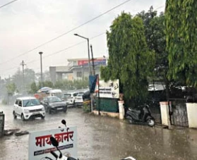 मावल में तूफान के साथ बेमाैसम बारिश, कई जगहाें पर पेड़ और बिजली के खंभे गिरने से मुश्किलें बढ़ीं