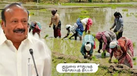 குறுவை சாகுபடித் தொகுப்பு திட்டம் 2024: தமிழ்நாடு அரசின் சூப்பர் அறிவிப்பு!