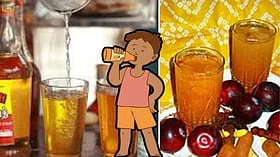 தாகம் தீர்க்கவும், உஷ்ணம் தணிக்கவும், குளு குளு சர்பத் வீட்டிலேயே செய்யலாமே..!