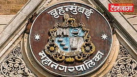 BMC Tender: कुर्ला ते घाटकोपर दरम्यान बहुप्रतिक्षित उड्डाणपूल; निवडणुकीआधी टेंडर