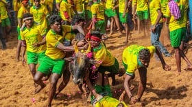 மஞ்சுவிரட்டில் இத்தனை வகைகளா?