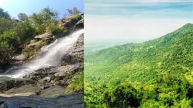 சிறுமலை: ஓரு பசுமையான பயண அனுபவம்!