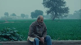 'The Calf Doll' examines the cultural and emotional implications of urbanisation and the way in which it slowly erodes lifestyles and ecosystems that don't quite fit into its vision.