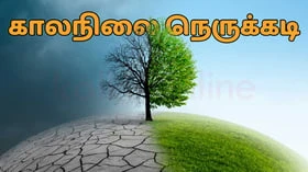காலநிலை நெருக்கடி: அவசர நிலையை புரிந்துகொள்வோம்!