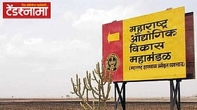 रायगडच्या रोहा एमआयडीसीत 'सीट्रिपलआयटी' मंजूर; 'एआय' तंत्रज्ञानासह...