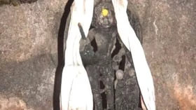 நவபாஷாண முருகப்பெருமானை தெரியும்; நவபாஷாண பைரவரை தெரியுமா?