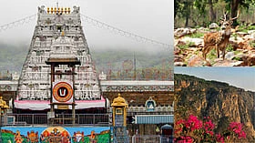 திருப்பதி செல்பவர்கள் கண்டிப்பாக பார்க்க வேண்டிய 7 அழகான இடங்கள்!