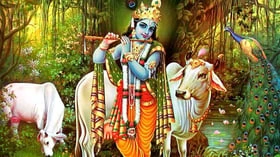 கண்ணனும் மாலாகாரனும்!