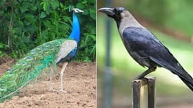 உங்களுடைய மதிப்பு என்னவென்பதை உணரவில்லையா? இந்தக் கதை உங்களுக்குத்தான்!