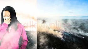 மூளையின் செயல்பாட்டை பாதிக்கும் அளவு தீங்கானதா காற்று மாசுபாடு?