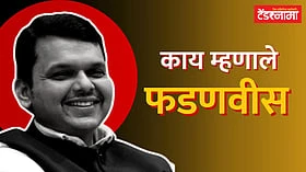 फडणवीस सरकारचे आता मिशन बांबू! 4,271 कोटींचा डीपीआर