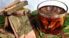 அர்ஜுனா மரப்பட்டையிலிருக்கும் 5 ஆரோக்கிய நன்மைகள்!