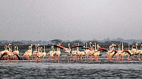 தமிழ்நாட்டில் கடற்காயல், கலிவேளி ஏரி எங்கு இருக்கிறதென்று தெரியுமா?