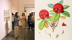 'Paper Gardens: Art, Botany and Empire' is on view at the Museum of Art and Photography, Bengaluru, tracing the link between botanical art and colonialism