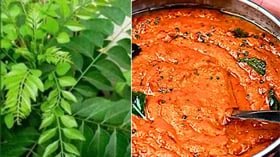 கறிவேப்பிலை சாட்டும் (chat) - காரைக்குடி காரச்சட்னியும்!