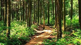 வளமான மண்ணைக் கண்டறியும் வழிகள்!