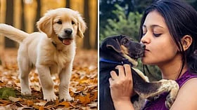 வளர்ப்பு நாய்தானே என அலட்சியம்.. 14 வயது சிறுமி உடல் முழுவதும் பரவிய விஷம்! தகனத்திற்கு கூட மறுப்பு!