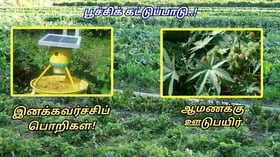 விவசாயிகளே! காய்கறிகளில் பூச்சிகளைக் கட்டுப்படுத்த இந்த டெக்னிக் உதவும்!